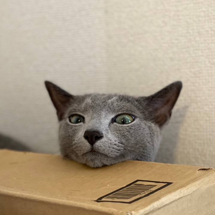 548edebc f526 43cd b028 143c962802e1 1687910194242