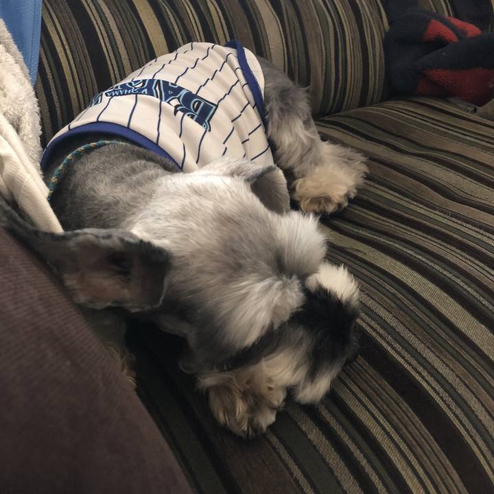 548ee173 52a1 4372 83a9 1535e0e598cf 1525064479130