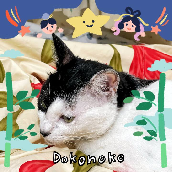 548f0625 9ca0 43ab 9fa3 cd924c03b50f 1721170339828