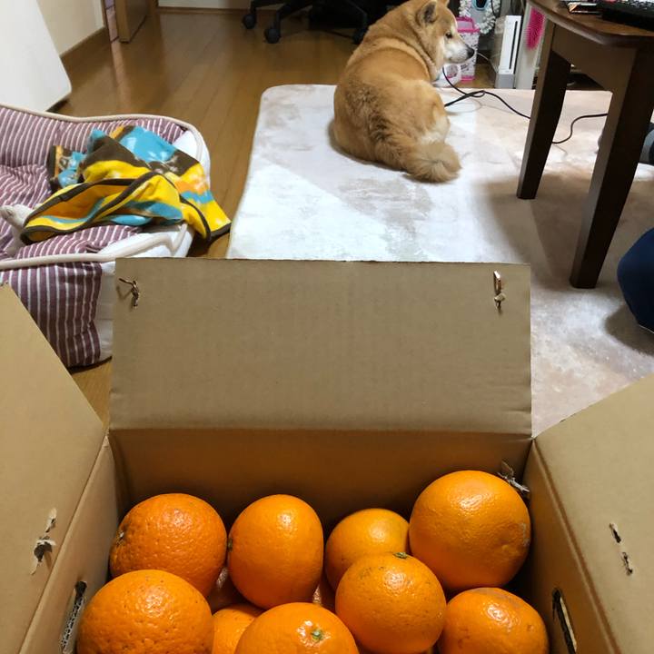 548f3dba 64c5 42fe 91da 01b268b71c82 1585028288154