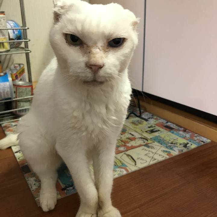 548f7f43 e476 4547 8e5b 5cd76cf90275 1539080816093