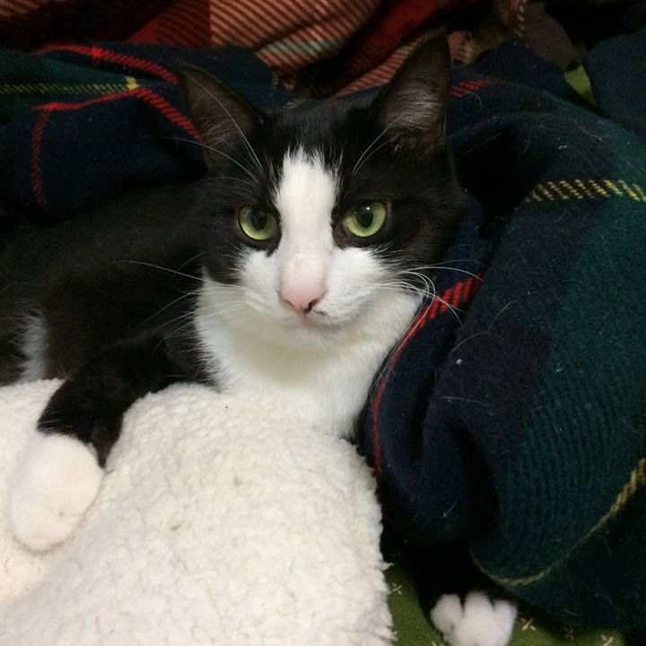 548fa6cf 89f4 46a4 a361 a11fdbf5821e 1509804205357