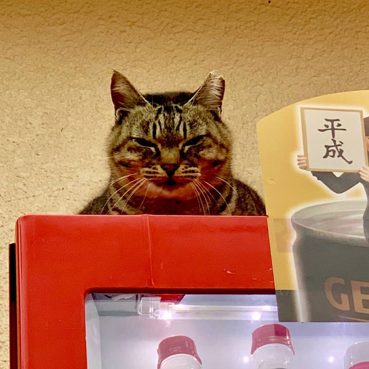 548fadf7 2dce 4ac9 b792 063d0446650e 1548975896987