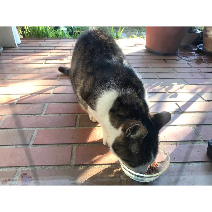 548fbc3b b988 4fd0 b599 ecccb279ed7f 1639896519292