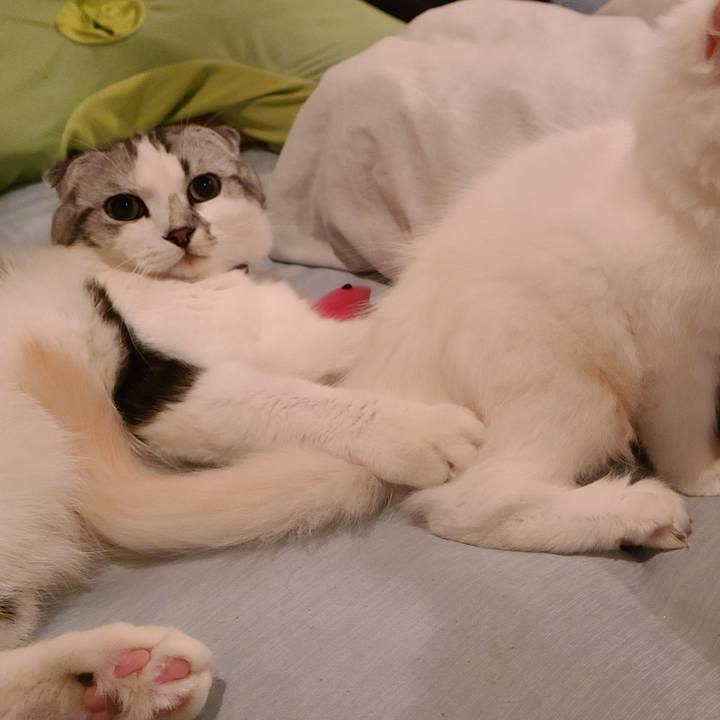 548ffe79 3fca 4868 aefb c52e08077c61 1655208090131