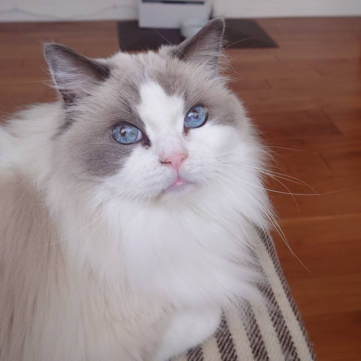 54901328 d2fd 411a b259 fef792ad0519 1769597547887