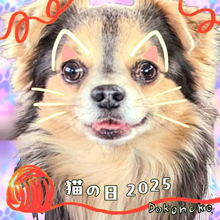 54901694 f534 41e7 8b61 7fa0b6d31e2f 1740365994749