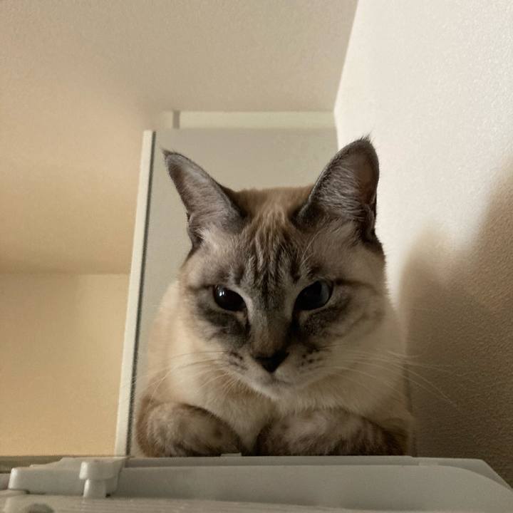 54902f9a 1a84 45fa aa32 93c97d5b7109 1606430609365