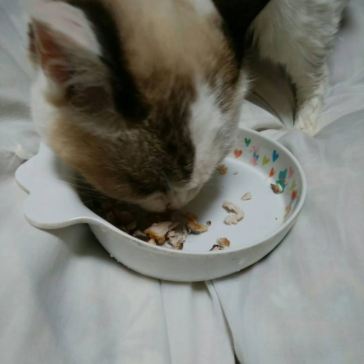 54905637 1991 451b ad31 22f5a8f84dda 1543658442054