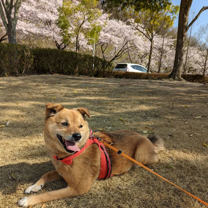 54906e7c ca78 42a8 bb0b 5436e70a2181 1650376660191