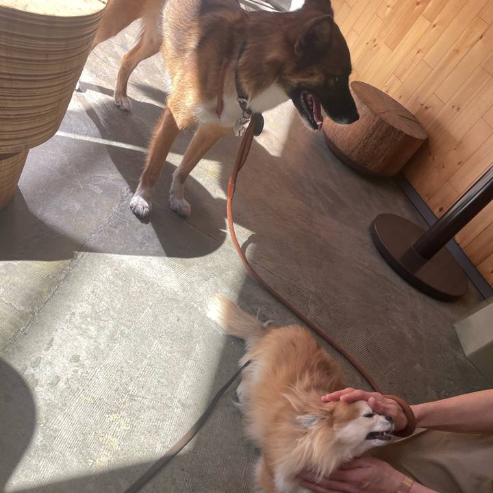 5490a22a a64c 435d a414 9229cb1e4ac9 1760761071158