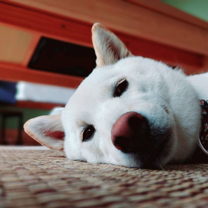 5490d009 1c38 43a4 8570 75ca9bde9a5b 1655353949027