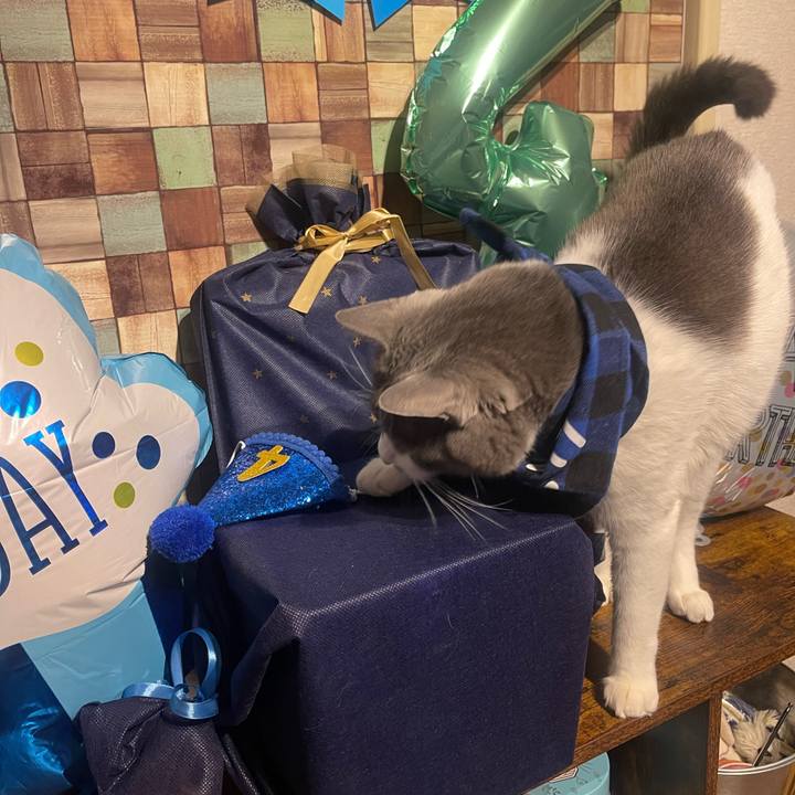 54911302 8333 4a0f 90e2 abf7c4f212e3 1703157038130