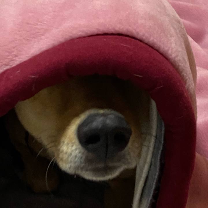 54911e20 b7d0 4100 85b8 3eb1e4fbadf1 1640769346373