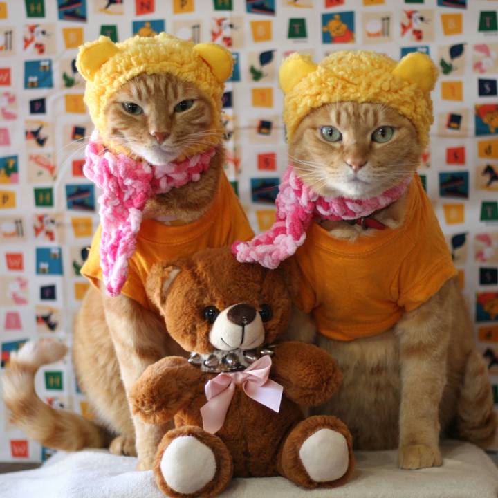 54913049 1381 41ea 9777 d77b87418f97 1514621466667