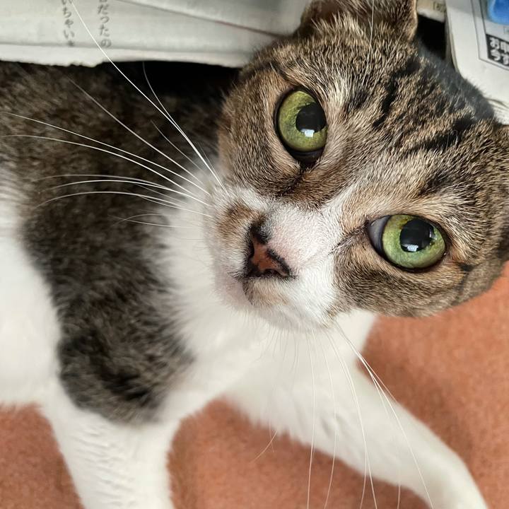 549130fe 1095 4a41 9ddc e867fcca2504 1633998266775