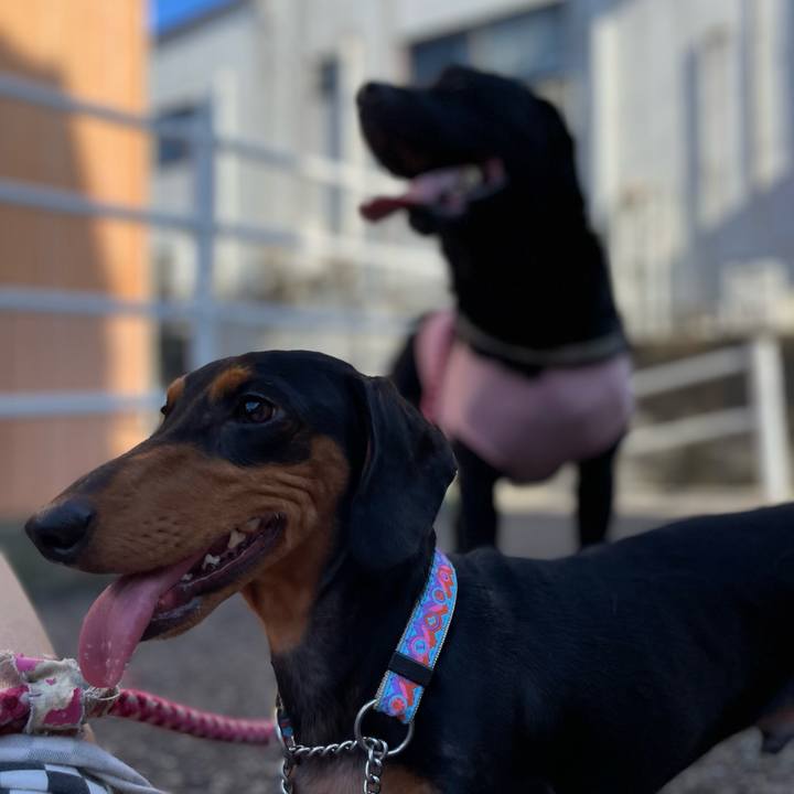 5491539e 301d 432b 8bb7 05f9d40ba4fd 1690495258203