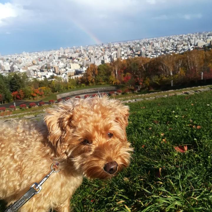 54916a58 7d52 4230 9e45 e053b3c7ebbc 1540617128054