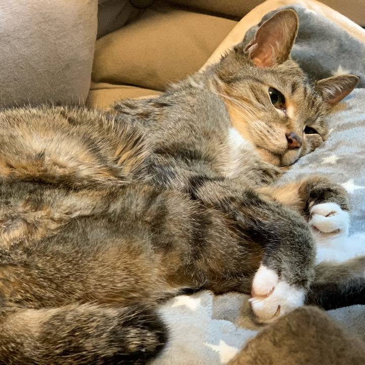 54916e78 0459 4e0e 9ad3 9a73d870c355 1674513105336