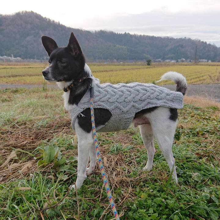 54918ed6 e815 48c3 8917 06ce88144a25 1544407541034