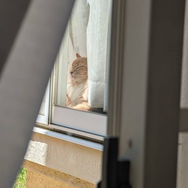 54919550 5729 43c0 9524 5fc3c58fc667 1753059540907