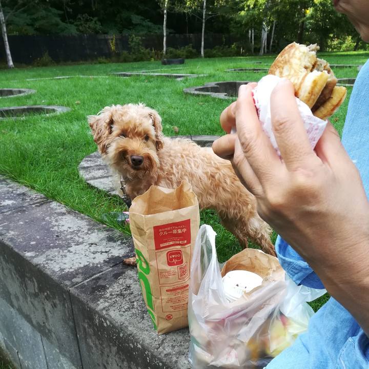 5491c368 e7fa 4166 81e6 9e314f5e259b 1546061224060