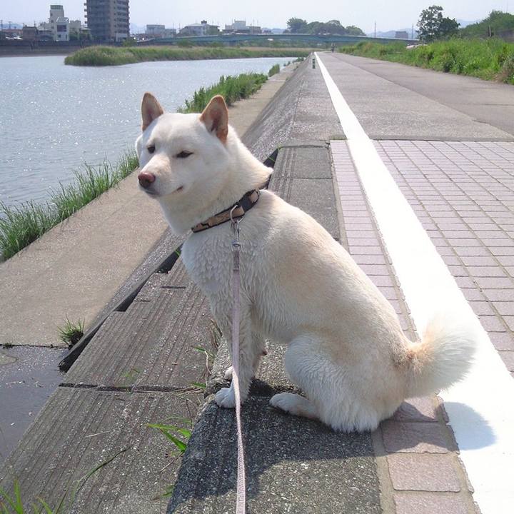 5491e5a1 dcbe 4d74 b12f 66b541622165 1648292028859