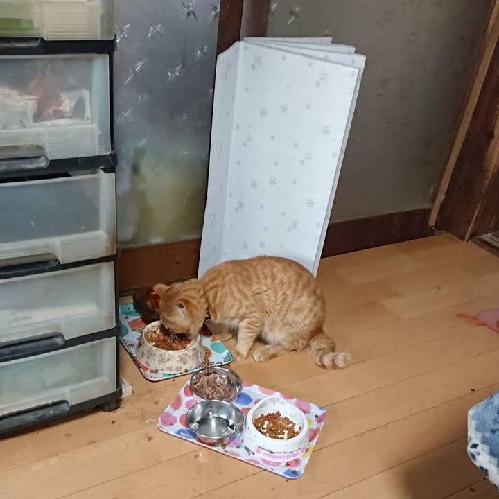 5491f221 8925 47c7 89ae e103382bc3f7 1650889443922