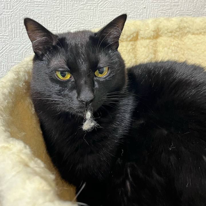 5491f273 bb55 48a7 86d8 ea4d35b3668f 1763606271873