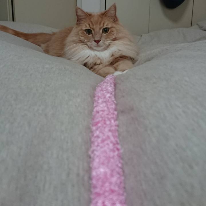 54925fbd 7b66 4200 8774 1a9ce90b299f 1547522144874