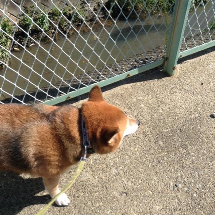 54928273 8ff6 4d63 8236 f949815a5245 1569286346950