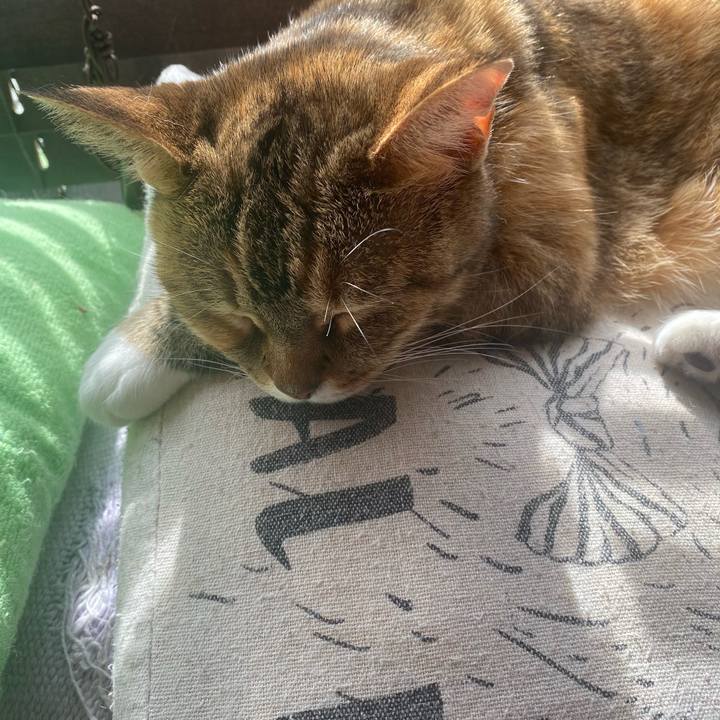 54929c3f 5b0e 4f90 a8d3 1c065c3450bb 1614998707356