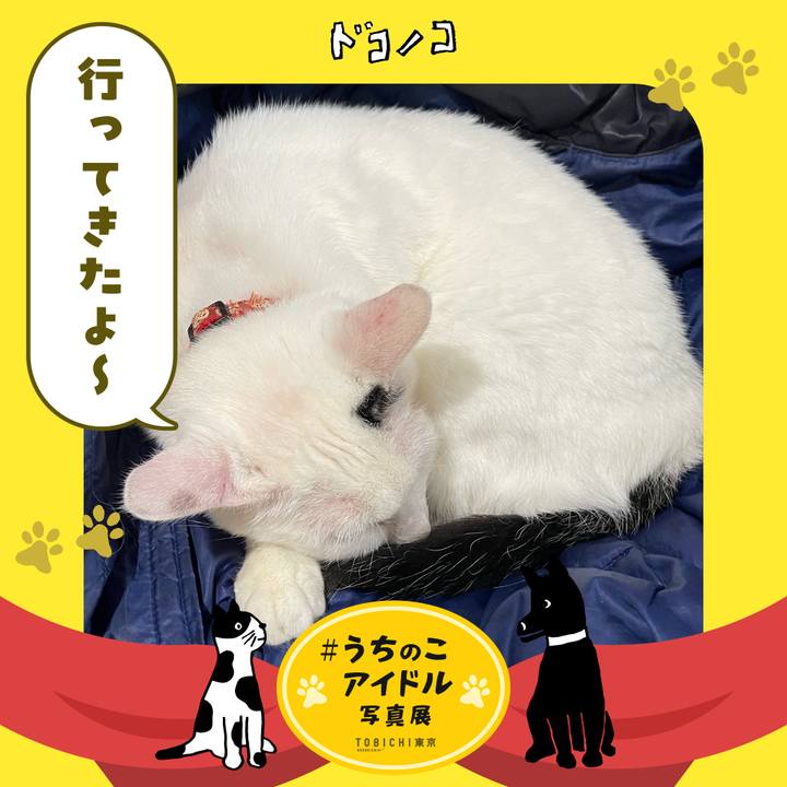 54929d64 9003 4409 b229 51a9aea0d3bb 1761438974380