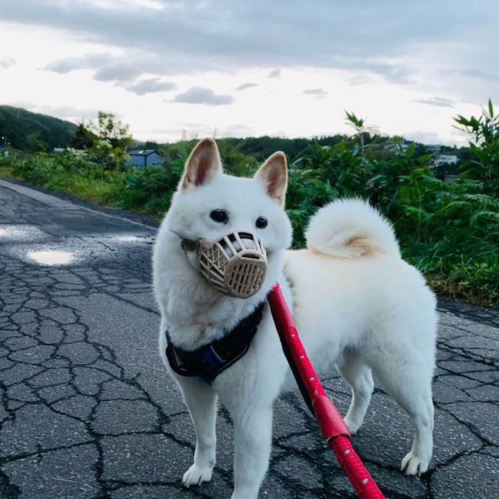 5492be6e d623 405c b4cf 2169ce8c275a 1663622554311