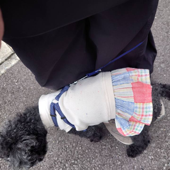 5492eafa ef31 463b 9a58 74f62063e9c3 1774170606223