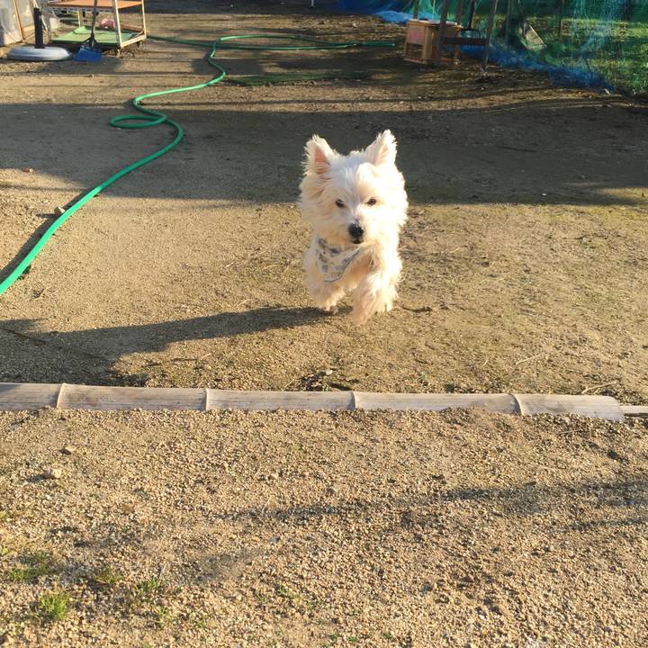 5493067c f1bc 4bea ab8e 9bdca14f8374 1513923820996