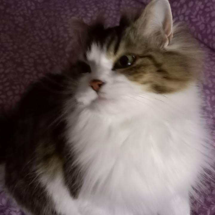 549329f6 60d4 4535 a1a1 b87bccc069ca 1616503851112