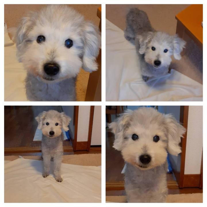 54937399 7702 467d 8894 31fc5b50b004 1635770921250