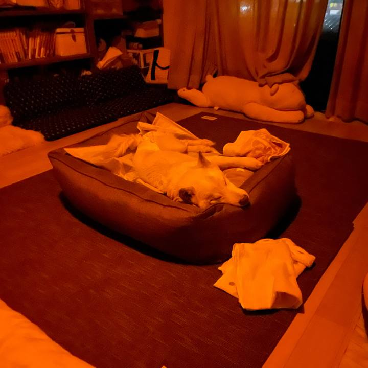 54938ba1 19ef 4593 8e0b b2add837e49c 1666289410429