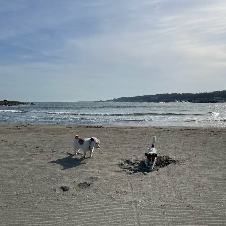 54939e7c e079 41a0 92b4 3f6dd6d80cfa 1682391282909