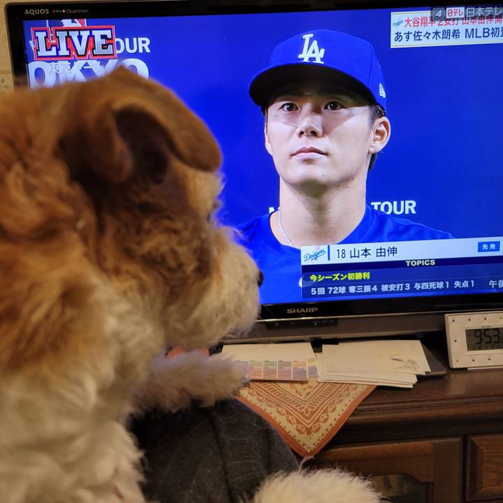 5493d349 3f68 40d2 86b0 9c8a4a6bf055 1742303956953