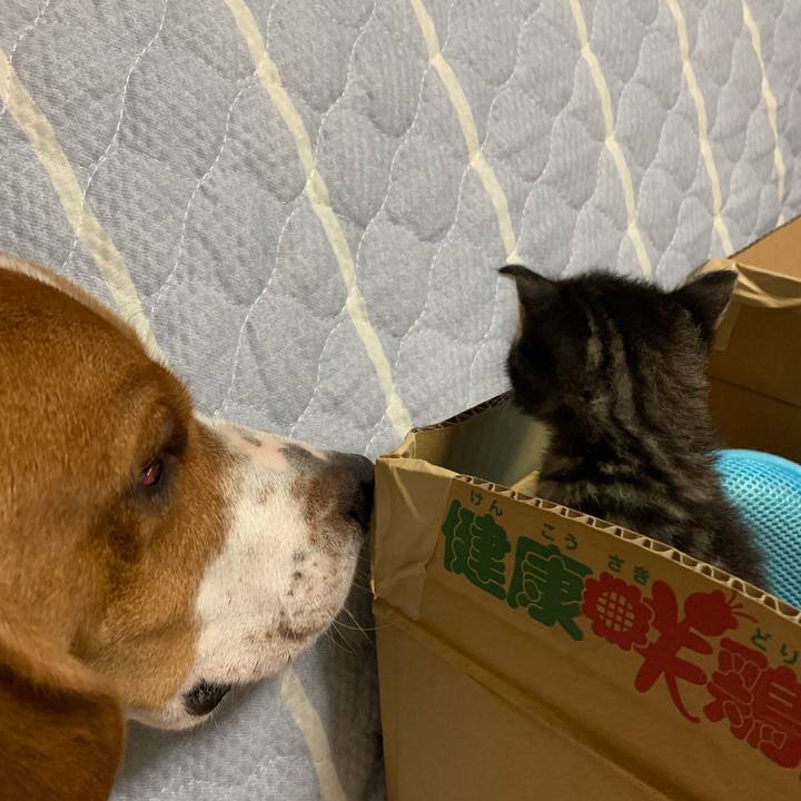 5493dfea cbd8 48ae a1e5 6cecca85b7c2 1563375028991