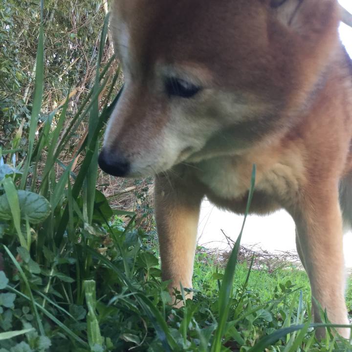 54944d09 99aa 467e bbf1 d5298a6fdaf5 1580519526232