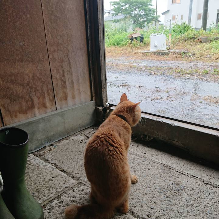 54946ff4 f1d0 4581 94c0 b7d177e822a8 1657688144894