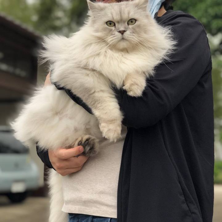 5494824d f8e5 4a16 9ff3 59346b1e572f 1622798655948