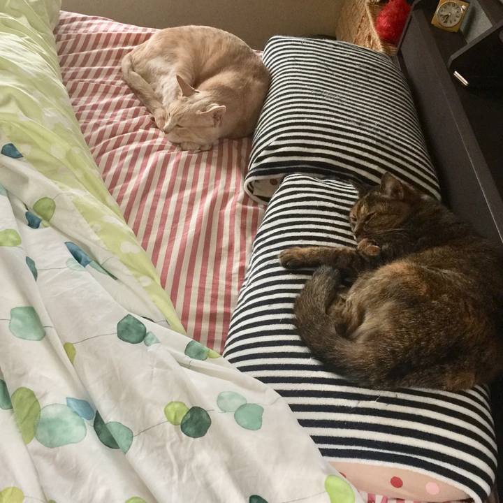 54948581 b944 483d 92bd e3a8cd0f4d54 1594336832965