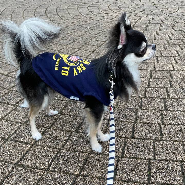 5494b9b6 fe87 4327 81d3 a8f4e6557a36 1616902126564