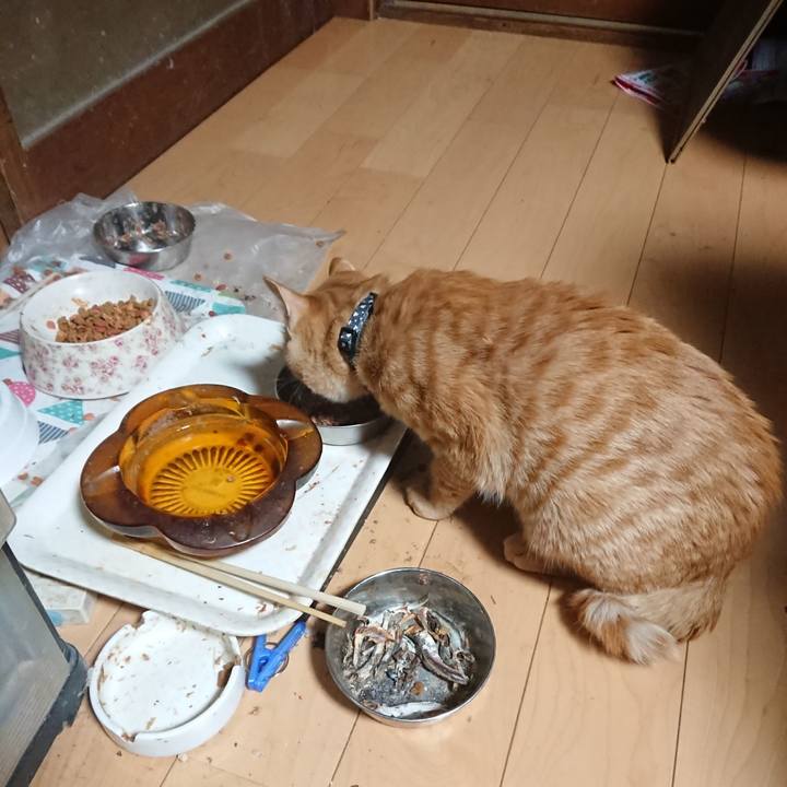 5494ceb8 b320 445d 8707 38e235ed09cc 1637095601102