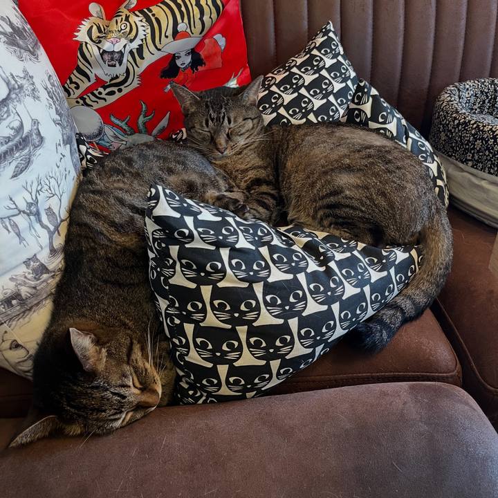 5494f267 c260 4e6c bbb4 b18937209fe9 1760329689842