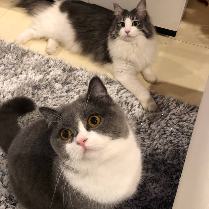 549511ba e127 41bd 8de9 095d96f9fac7 1549102893607